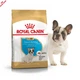 Royal Canin French Bulldog Puppy – корм для щенков французского бульдога от 2 до 12 месяцев, 10 кг (3990100) - изображение 7