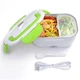 Ланч бокс с подогревом от сети 220в The Electric Lunch Box зеленый - изображение 1