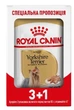 Влажный корм Royal Canin Yorkshire Terrier Adult 3 + 1 шт - изображение 1
