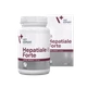 Vet Expert Hepatiale Forte Large Breed Харчова добавка для підтримання та захисту функцій печінки у собак великих порід, 40 таб. - изображение 2