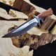 Японский кухонный нож из премиальной стали М390 для мяса, овощей и фруктов с чехлом из натуральной кожи - изображение 1