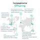 Підгузки-трусики Offspring Skye, розмір M (6-11 кг), 42 шт - зображення 8