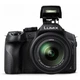 Цифровой фотоаппарат Panasonic DMC-FZ300 (DMC-FZ300EEK) - изображение 3