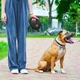 Поводок-рулетка для собак Waudog R-leash с контейнером для пакетов/светоотражающей лентой L до 40 кг 5 м Черный (26291 Col) - изображение 8