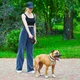 Поводок-рулетка для собак Waudog R-leash с контейнером для пакетов/светоотражающей лентой L до 40 кг 5 м Черный (26291 Col) - изображение 9