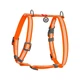 Шлея для собак анатомічна Waudog Waterproof з QR-паспортом/світловідбивна S 15 х 28-42 см (26622399) - зображення 1