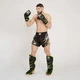 Шорты для тайского бокса Leone Performance Fluo Black S (76-82 см) - изображение 4