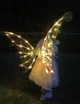 Інтерактивні крила, що світяться, феї-метелика Wings of Fairy 848 з музикою для дівчаток - зображення 7