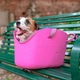 М'яка переноска для маленьких собак Ferplast With-Me Fuchsia - зображення 4