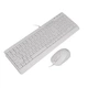 Комплект (клавиатура и мышь) A4Tech Fstyler F1512, USB, 1.5m, White - изображение 3