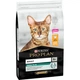 Сухой корм для кошек Purina Pro Plan Original с курицей 10 кг (7613036508032) - изображение 1
