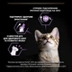 Сухой корм для кошек Purina Pro Plan Original Kitten с курицей 10 кг (7613036505307) - изображение 6