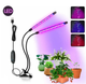 Фітолампа Full Spectrum LED Grow Light подвійна на прищіпці. Світильник для рослин, розсади, квітів. Таймер, USB, 20W - зображення 2