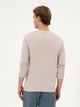 Свитшот мужской U.S. Polo Assn G081SZ082-000-2303161(Taş) L Бежевый (8683859425549) - зображення 2