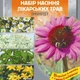 Набір насіння Імунітет 1.5г - изображение 1