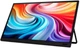 Монитор Acer PM161Wbmiuux (UM.ZP1EE.012) - изображение 3