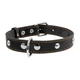 Ошейник Collar одинарный с украшениями 20 мм х 32-40 см Черный (01351 Col) - изображение 1