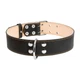 Ошейник Collar двойной 45 мм х 56-68 см Черный (03591 Col) - изображение 1