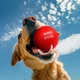 Игрушка для собак WAUDOG Fun Red Ball термопластичный полиуретан 70 мм (25881232) - изображение 5