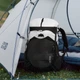 Рюкзак туристичний Naturehike Helium CNK2450XB016, 40 л, білий, M - зображення 8