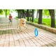 Кольцо для апортировки PitchDog30 D 28 см Голубой (25881062) - изображение 7