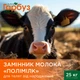 ЗЦМ Пан Гарбуз ПОЛІМІЛК для телят від народження 25 кг - зображення 2