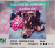 Картина по номерам Пес с цветком 40х50 см Rainbow Art GX45744 - изображение 2
