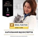 Консервований корм Purina Pro Plan Veterinary Diets Veterinary Diets NF Renal Function Early Care Дієтичний вологий корм з куркою для лікуванні ниркової недостатності на ранніх стадіях у дорослих і літніх котів 85 г (7613287873934) - зображення 4