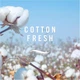Освіжувач повітря Febreze Ambi Pur Plug-in Cotton Fresh з 4 запасними блоками (стартовий набір) 4 x 20 мл (8001090946966) - изображение 4