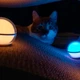 Фонарь кемпинговый Olight Sphere Blue - изображение 8