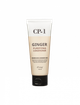 Восстанавливающий кондиционер для волос Имбирь ESTHETIC HOUSE CP-1 Ginger Purifying Conditioner, 100 мл - изображение 1