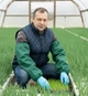Нарукавники водонепроницаемые, нарукавники для теплиц/ 50 см/зеленые - изображение 2