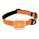 GPS трекер 4G ультраточный 343466 - изображение 5
