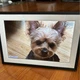 Цифровая фоторамка Frameo 10.1 дюймов 32Gb встроенной памяти с сенсорным управлением WiFi электронная рамка для фото подарка приложение FRAMEO сенсорный экран 1280x800 HD IPS интерактивный фотоальбом - изображение 14