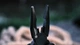 Мультитул Ganzo 22в1 MultiTool Black G205-B - изображение 8