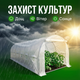 Пленка для теплицы 6x3x2 м всесезонная прозрачная парниковое полотно UV12 укрытие полиэтиленовое для рассады - изображение 6