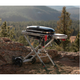 Портативный газовый гриль Weber Traveler 9010075 - изображение 4