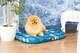 Чехол для лежанки WAUDOG Relax, рисунок "Абстракция", размер S, 55х40 см (1308-0104) - изображение 2