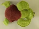 Игрушка Черепаха 37 см мягкая вязаная подарок сувенир hand made ручная работа - изображение 6