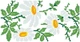 Набір для вишивки нитками Барвиста Вишиванка заготовки пошитого клатча Ромашки (КЛ187лБ1301i) - изображение 2