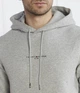 Худі чоловічі TOMMY HILFIGER LOGO TIPPED D-TH-3152AT L (48) - зображення 3