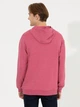 Худи мужское U.S. Polo Assn G081SZ082-000-1455292 XL Красное (8682733970496) - изображение 2