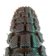 Покришка 2.50-17 камерна для мотоцикла, Goodtyre - зображення 1