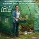 Пленка покрытия для теплицы парника King Garden с окнами 6 м² 300×200×200 качественная, трёхслойная, прочная - изображение 6