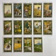 Карты таро 1001 ночь, уменьшенная (Tarot of the Thousand and One Nights) - изображение 7