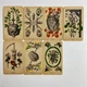 Таро Античной Анатомии, уменьшенная (Antique Anatomy Tarot) - изображение 5