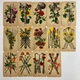 Таро Античной Анатомии, уменьшенная (Antique Anatomy Tarot) - изображение 7