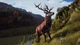 Игра Sony PlayStation 5 Way of the Hunter: Hunting Season One Русские субтитры Б/У - изображение 10