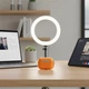 Чехол Uniq Glase для AirPods Pro 3 Оранжевый Uniq-AIRPODSPRO3-GLSGCTR (8886463697177) - изображение 8