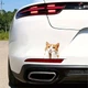 Декоративная 2D наклейка Рыжий кот для автомобиля, мотоцикла, ноутбука, техники 1 шт. 14.8х14 см. Оранжевый с белым - изображение 6